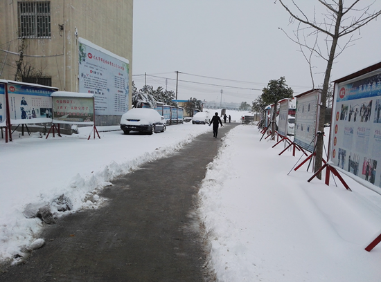 雪地中的“愛(ài)”