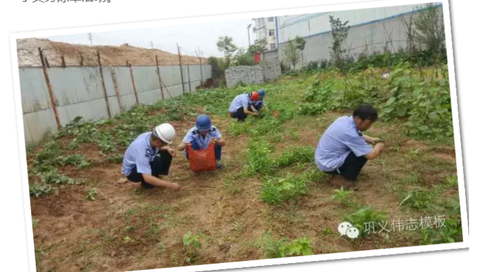 員工冒雨參加義務(wù)勞動(dòng)！感動(dòng)———偉志鋼模板廠家