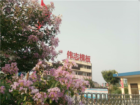 專業(yè) 專注，河南偉志模板在2018年期待您的光臨