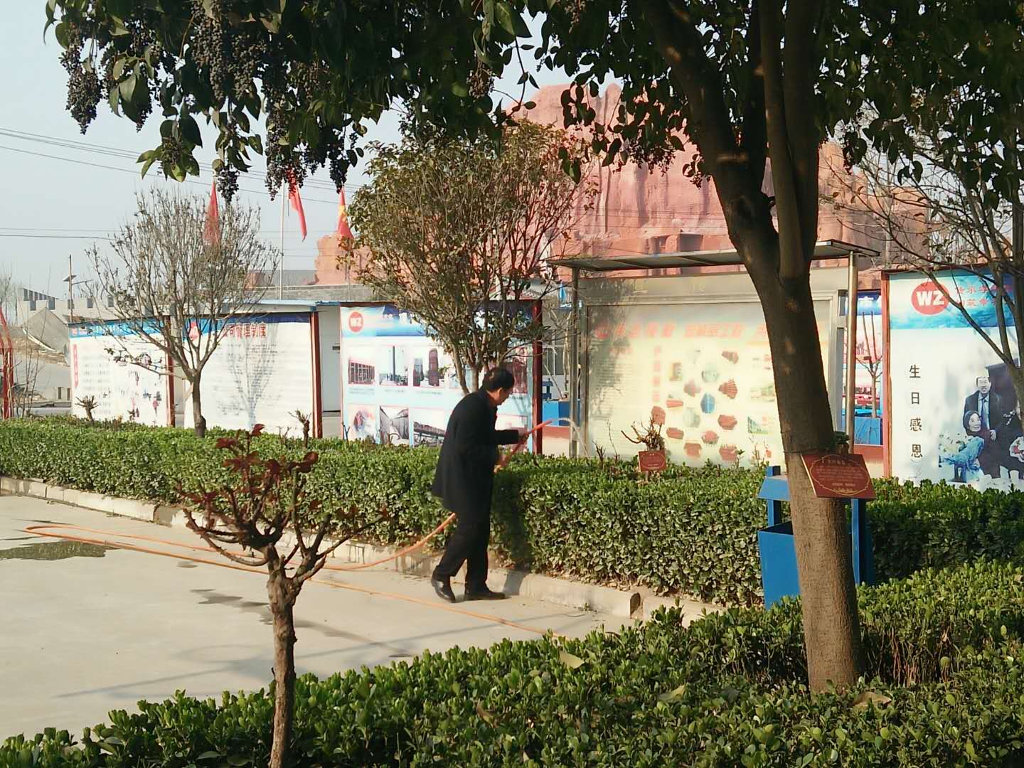 身先力行，偉志模板來(lái)董說(shuō)：植樹(shù)就要護(hù)理好