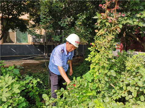 河南偉志模板來保軍——美麗的花園，來自辛勤的勞動(dòng)